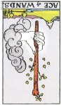 Ace if Wands Reversed