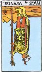 Page of Wands Reversed